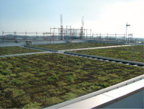 鋼板製屋根緑化(工場)