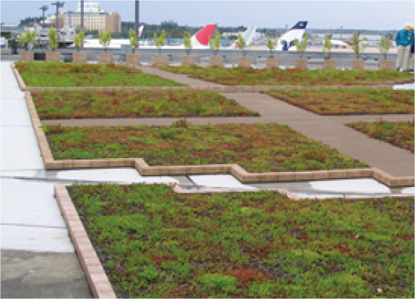 陸屋根緑化(空港ビル)