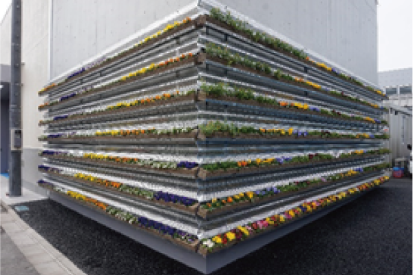 ポット型壁面緑化1