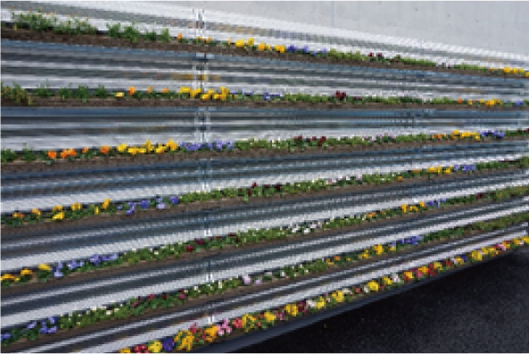 ポット型壁面緑化2