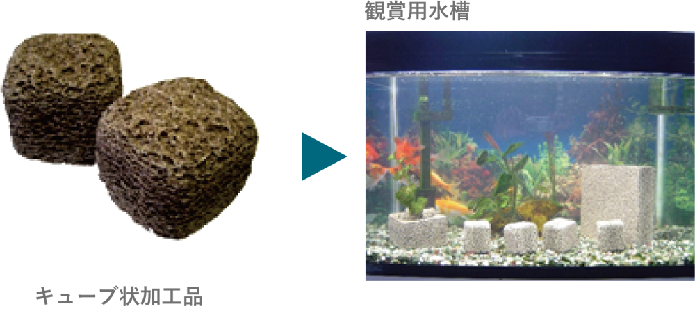 キューブ状加工品→観賞用水槽