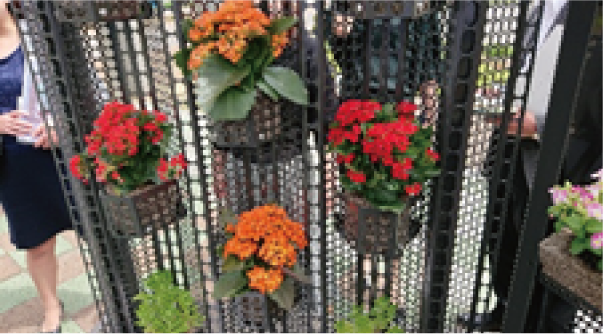 園芸ポット使用例